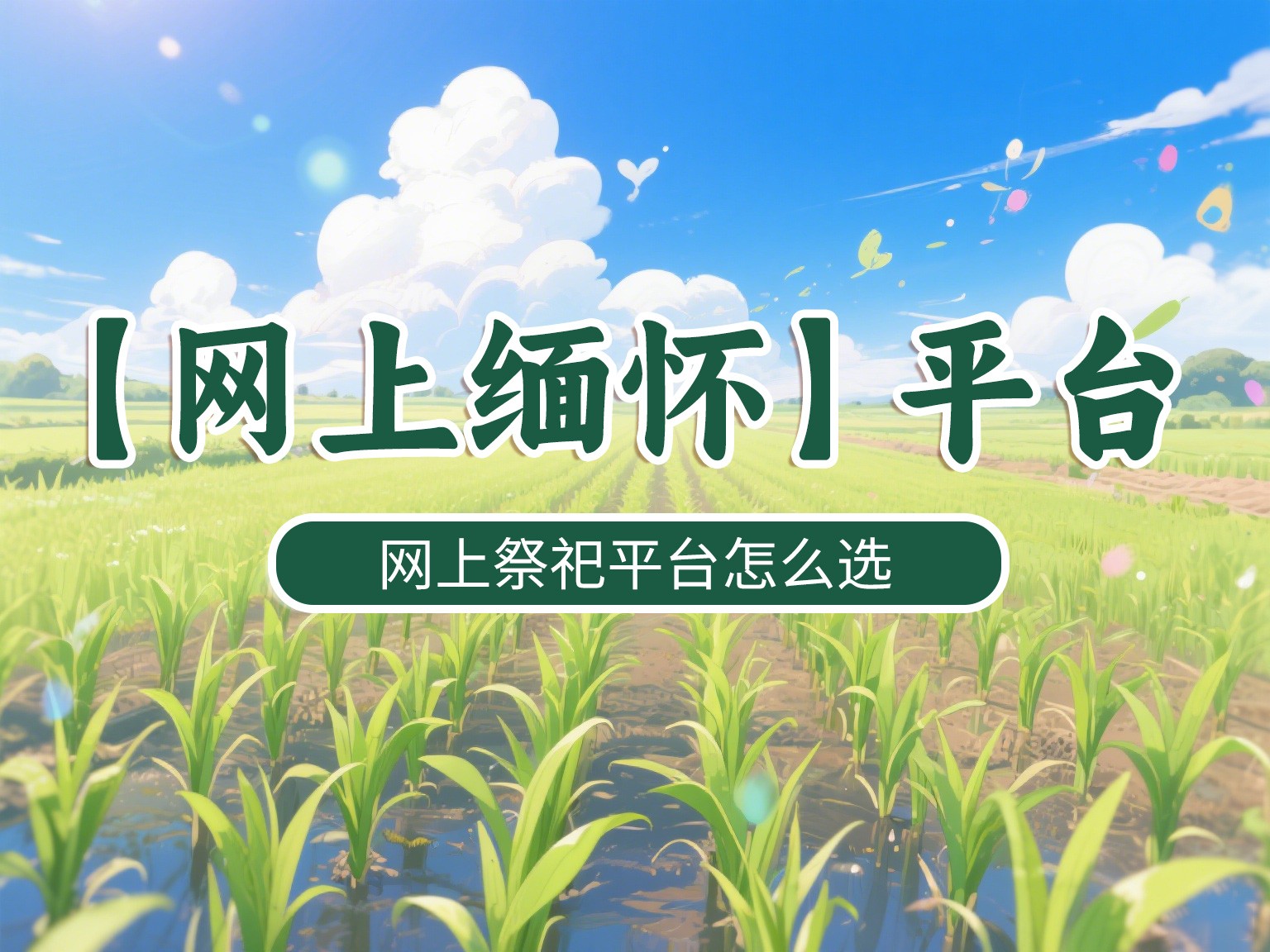 守古礼温度，踏文明步伐 ——“网上缅怀” 的网上祭祀之道