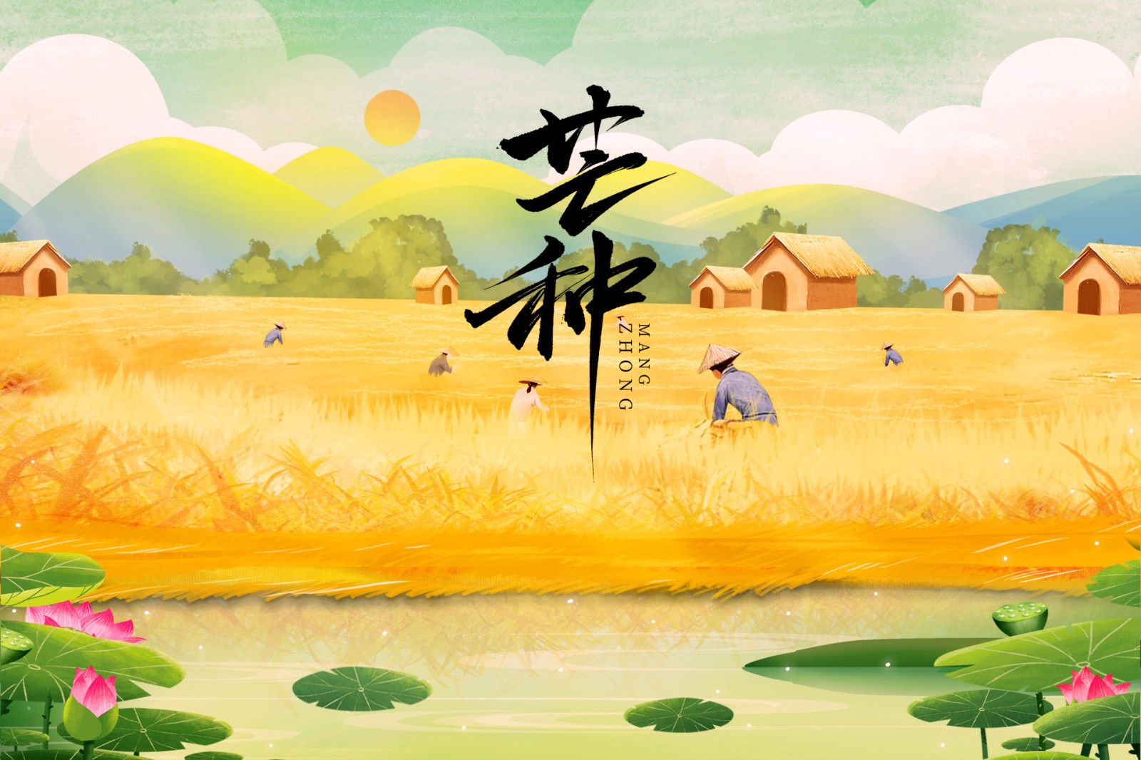 芒种 | 人间芒种，不负每一份深耕