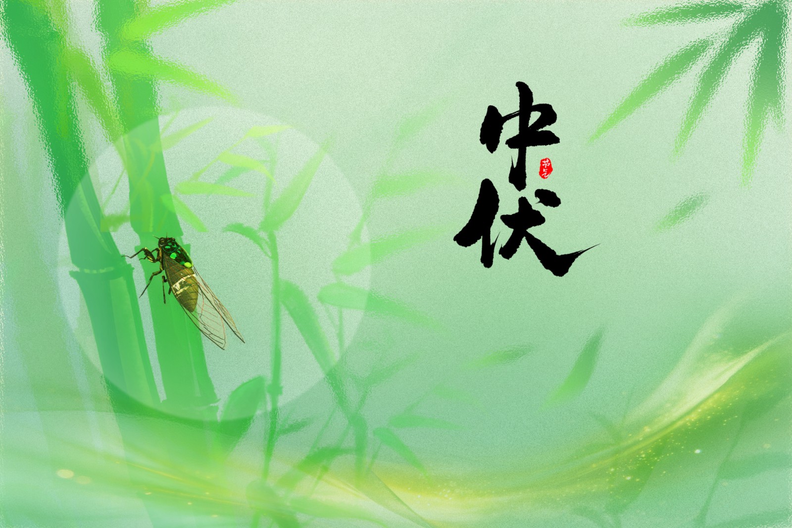中伏 | 中伏7日养生食谱，清热祛湿、健脾护胃，轻松度过桑