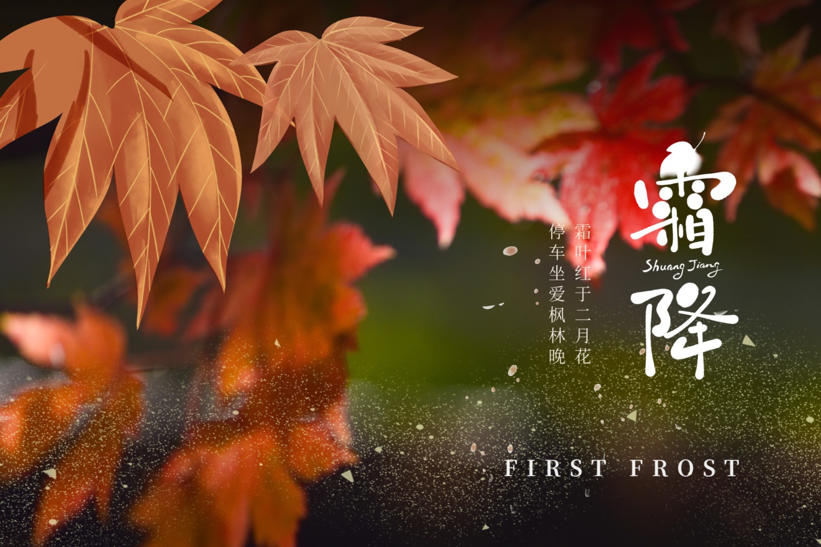 霜降｜霜落秋将尽，顺时养元气